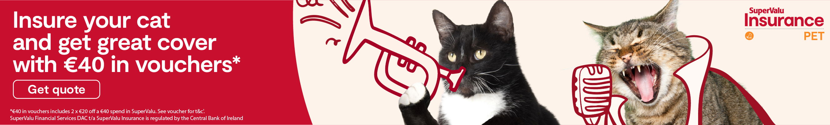 Insure your cat and get great cover